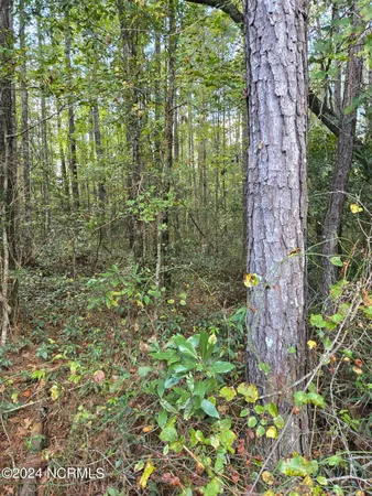 $380,000 | 3347 Mt Misery Road Northeast, Leland, NC 28451