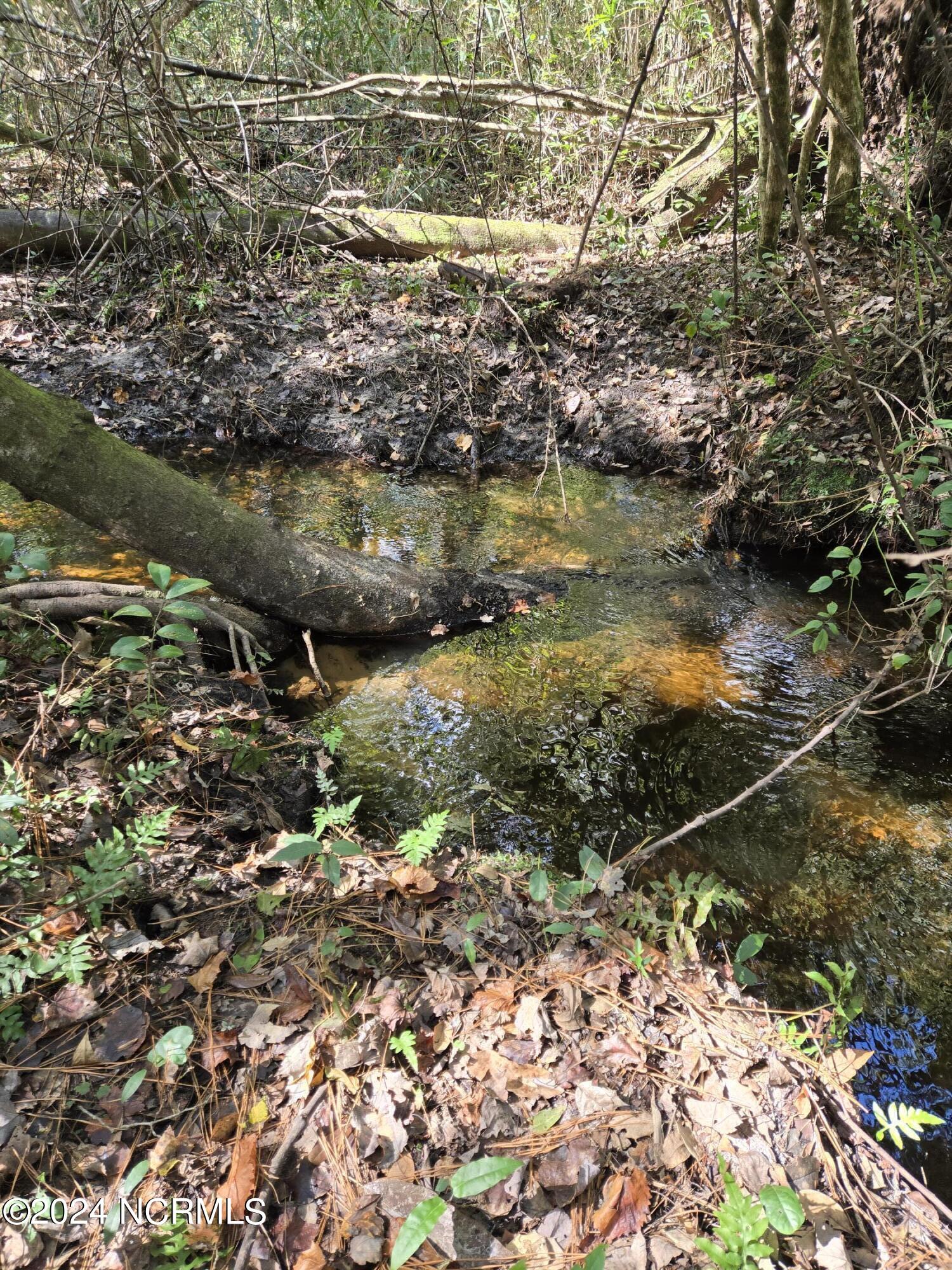 3347 Mt Misery Road Northeast Leland, NC 28451 - Photo 9 of 14 Indian Creek 1