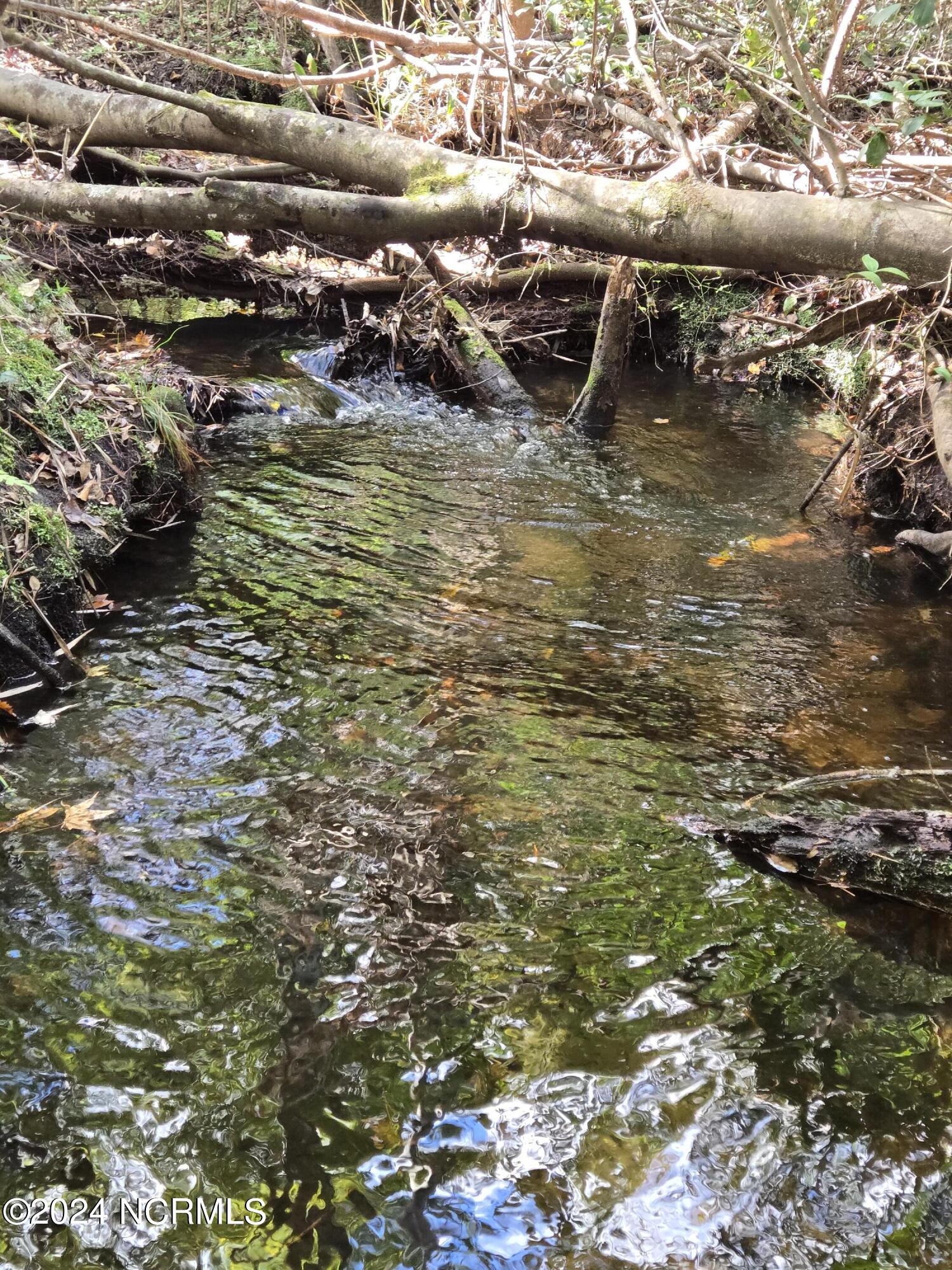 3347 Mt Misery Road Northeast Leland, NC 28451 - Photo 10 of 14 Indian Creek 2