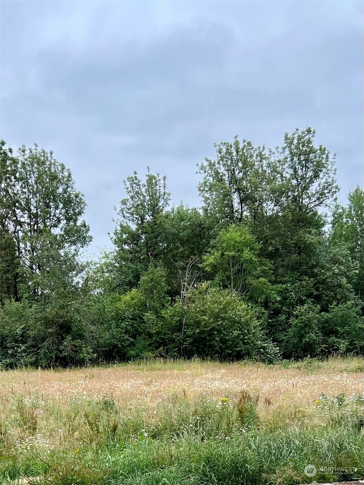 113-59 Beck Road Onalaska, WA 98570 - Photo 1 of 6 Gallery Image 1