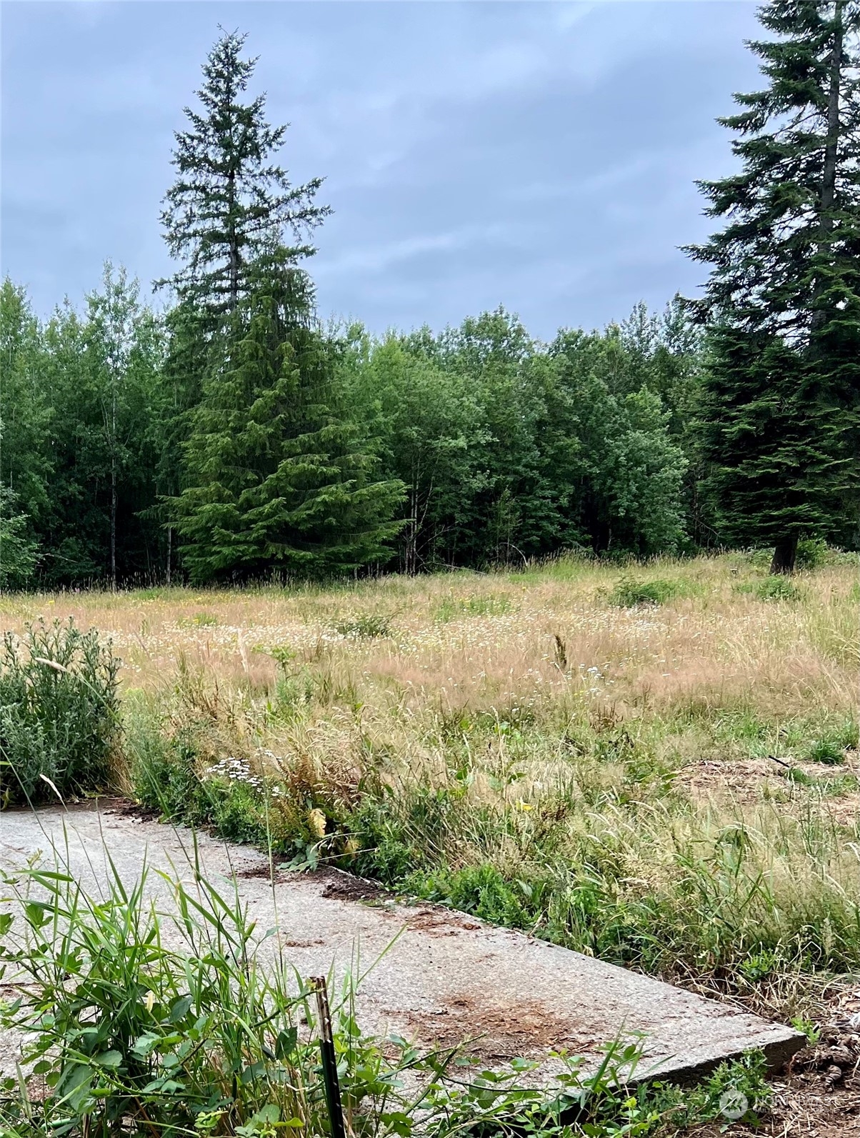 113-59 Beck Road Onalaska, WA 98570 - Photo 3 of 6 Gallery Image 3