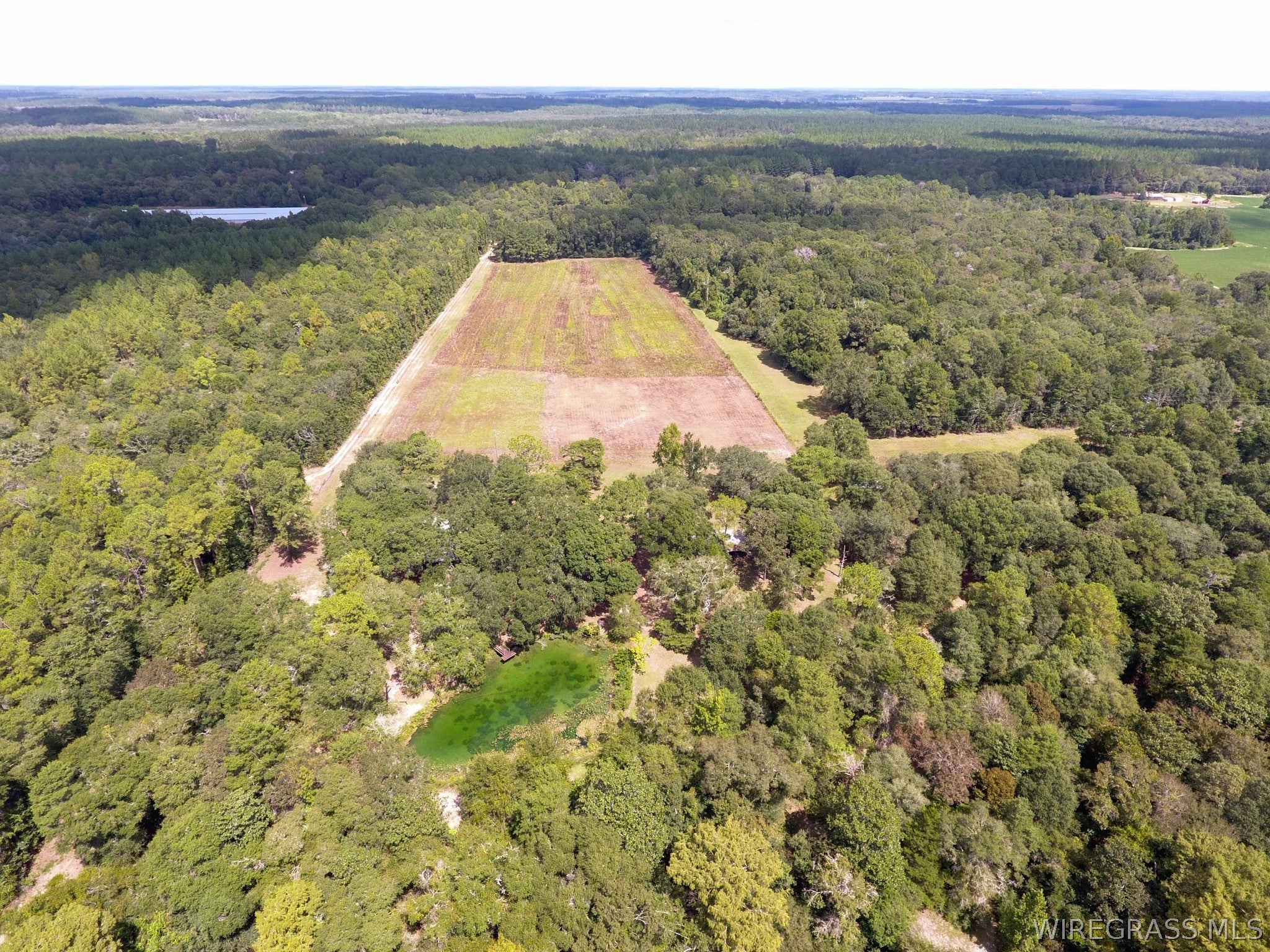 3433 Iron Bridge Road Samson, AL 36477 - Photo 59 of 64 Gallery Image 59