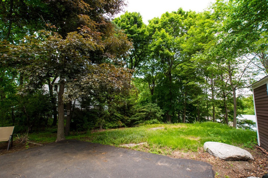 228 Langley Road Newton, MA 02459 - Photo 30 of 30 a view of backyard with green space