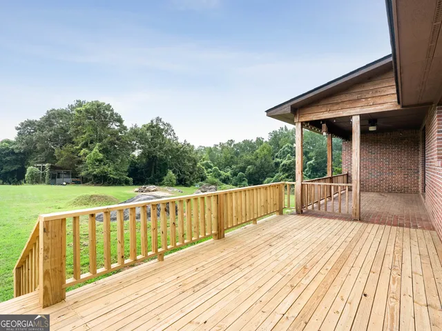 a view of a park with plants and large trees
