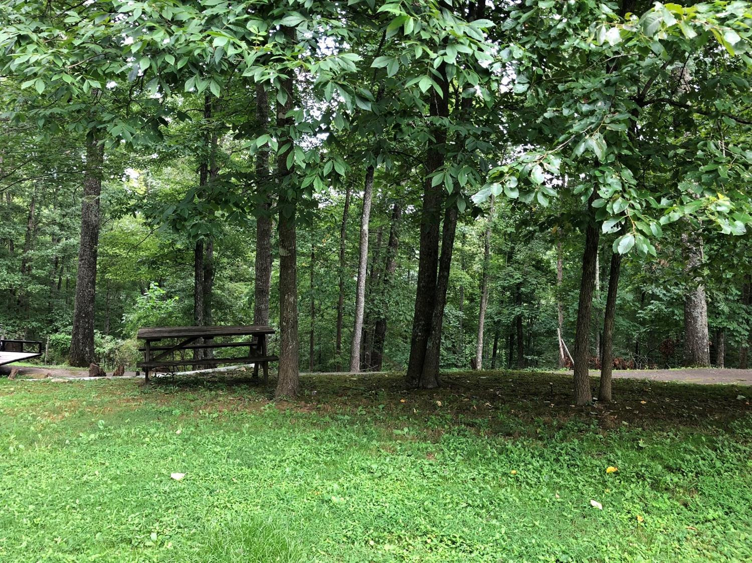 400 Cliffview Road Zoe, KY 41397 - Photo 39 of 45 Photo 39