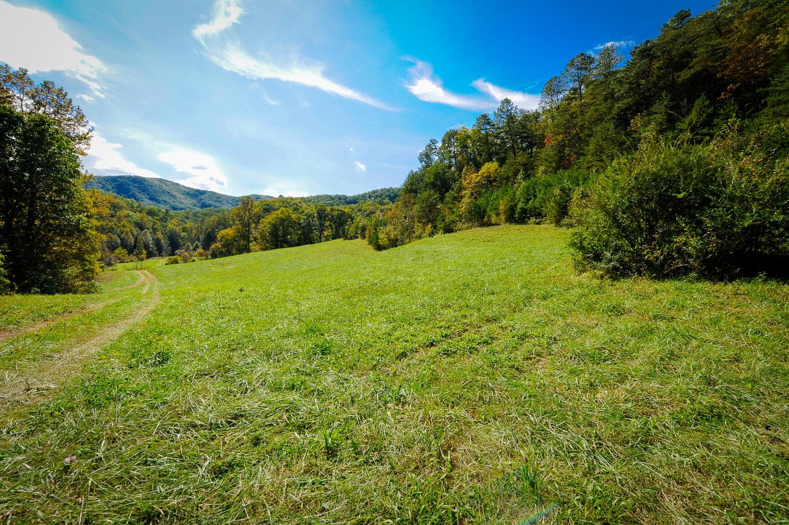 Mill Creek Road Pigeon Forge, TN 37862 - Photo 1 of 11 Open Pasture and Mountain Views