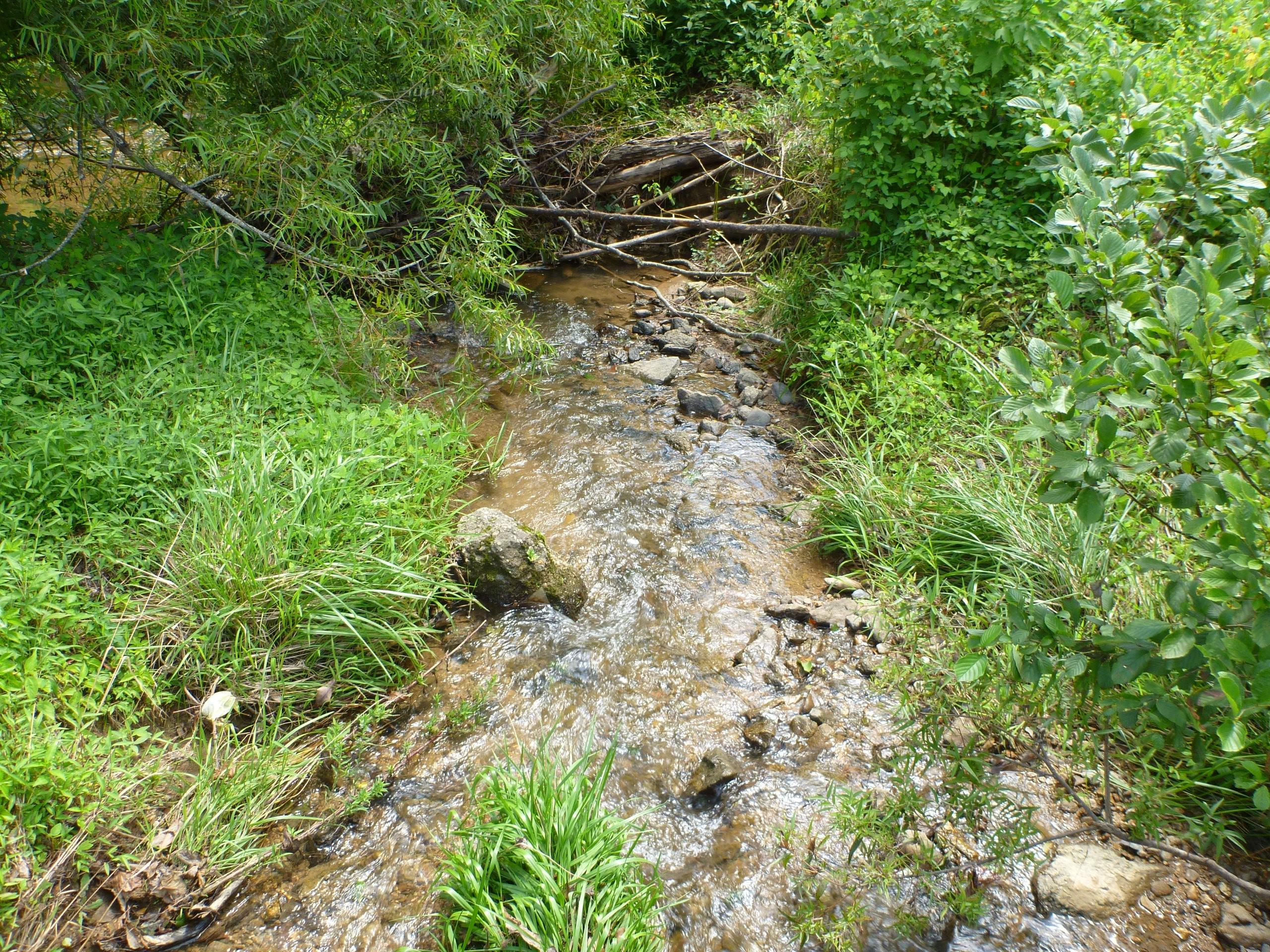 Mill Creek Road Pigeon Forge, TN 37862 - Photo 4 of 11 Mill Creek 1