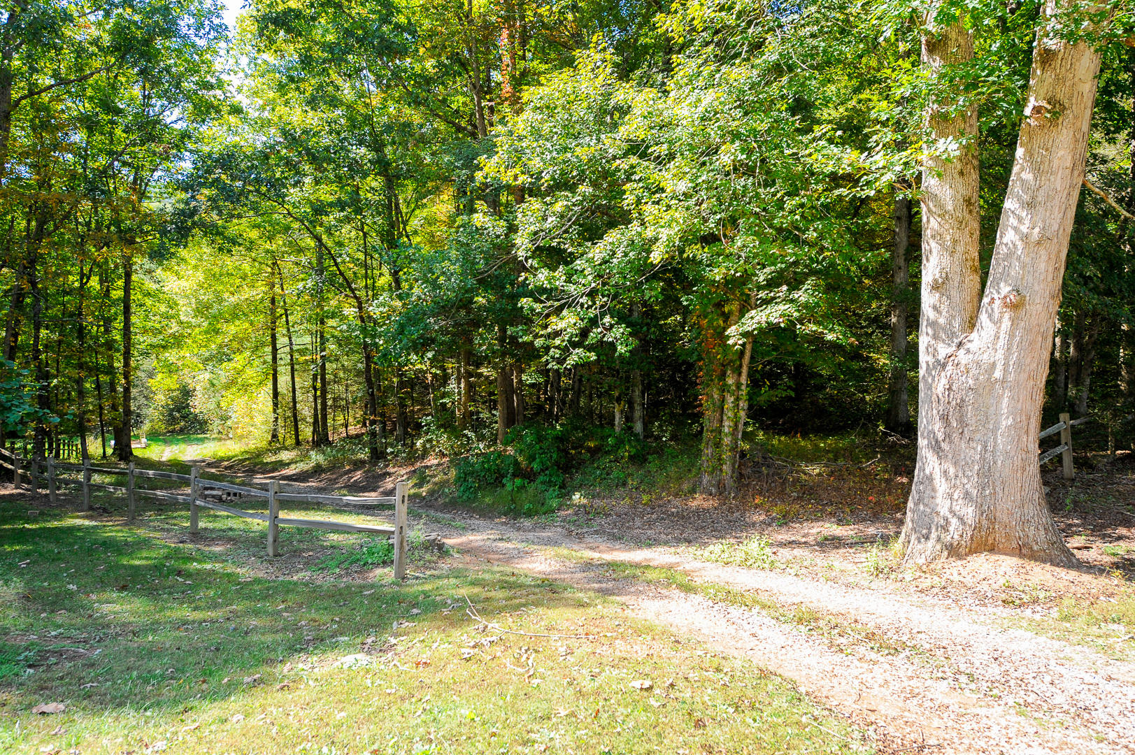 Mill Creek Road Pigeon Forge, TN 37862 - Photo 5 of 11 Gravel Drive at Entrance