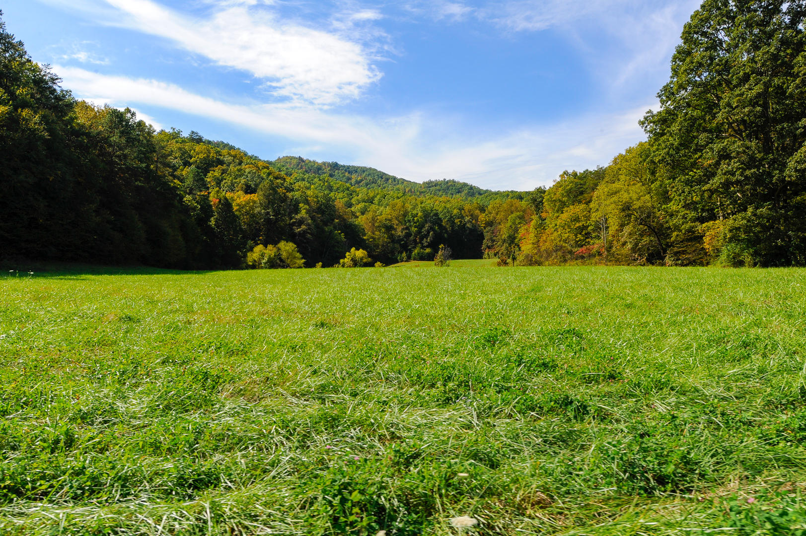 Mill Creek Road Pigeon Forge, TN 37862 - Photo 7 of 11 Acres of level ground