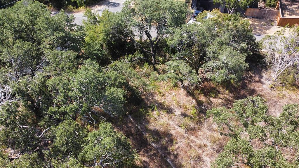 11100 5th Street Jonestown, TX 78645 - Photo 2 of 5 a view of a house with a lush green forest