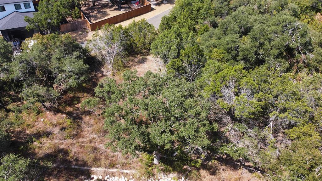 11100 5th Street Jonestown, TX 78645 - Photo 3 of 5 a view of a forest that has a tree