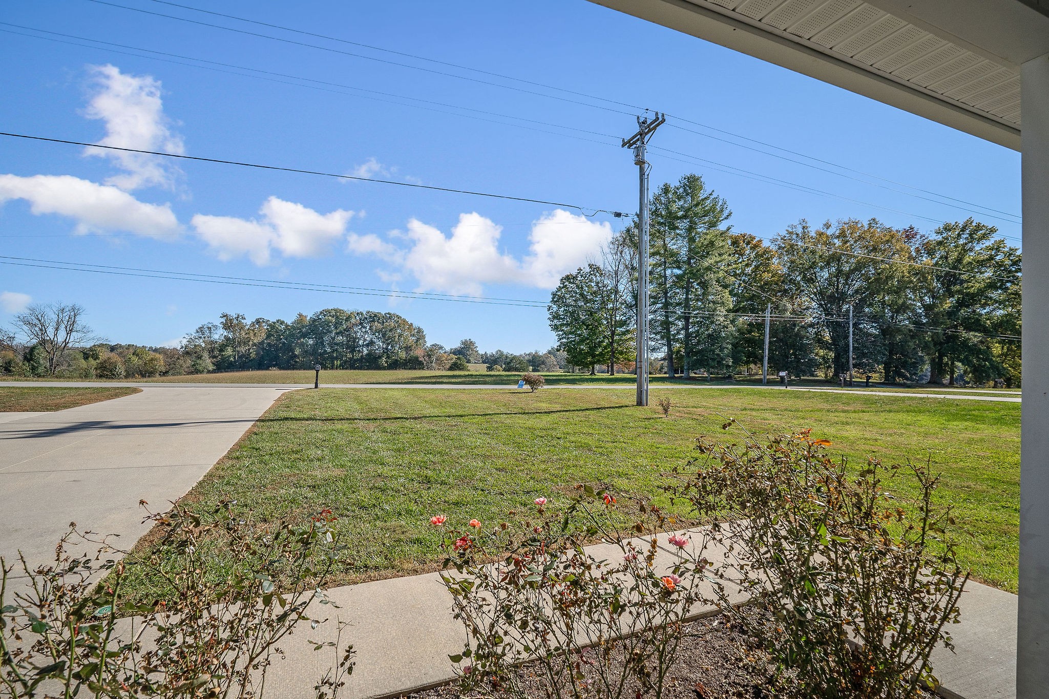 7060 Ditty Road Cookeville, TN 38506 - Photo 5 of 35 a view of a lake with a yard