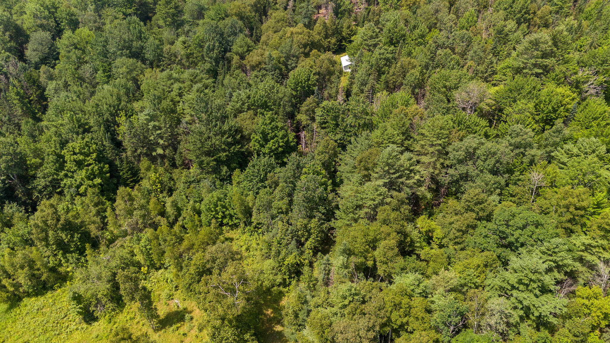 407 A Milo Road Sebec, ME 04481 - Photo 45 of 63 DJI_20240718115502_0402_D