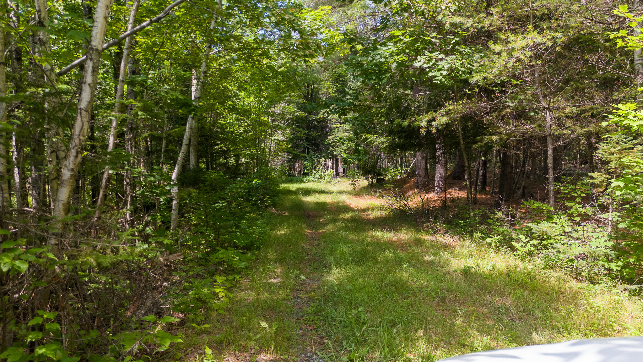 407 A Milo Road Sebec, ME 04481 - Photo 52 of 63 DJI_20240718115907_0411_D
