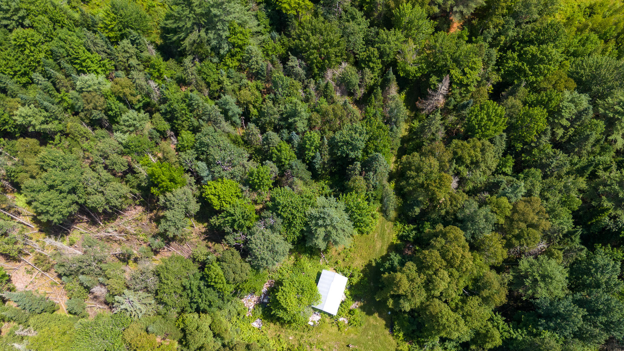 407 A Milo Road Sebec, ME 04481 - Photo 60 of 63 DJI_20240718120329_0426_D