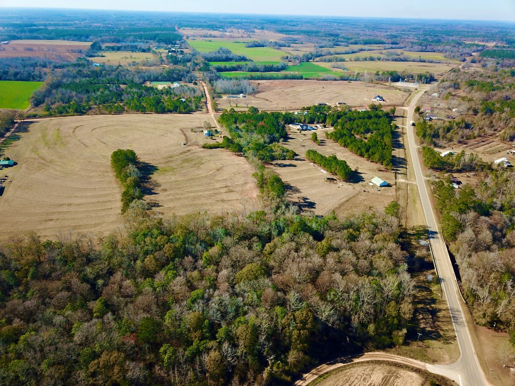 24.6-acres Grant Road Slocomb, AL 36375 - Photo 8 of 17
