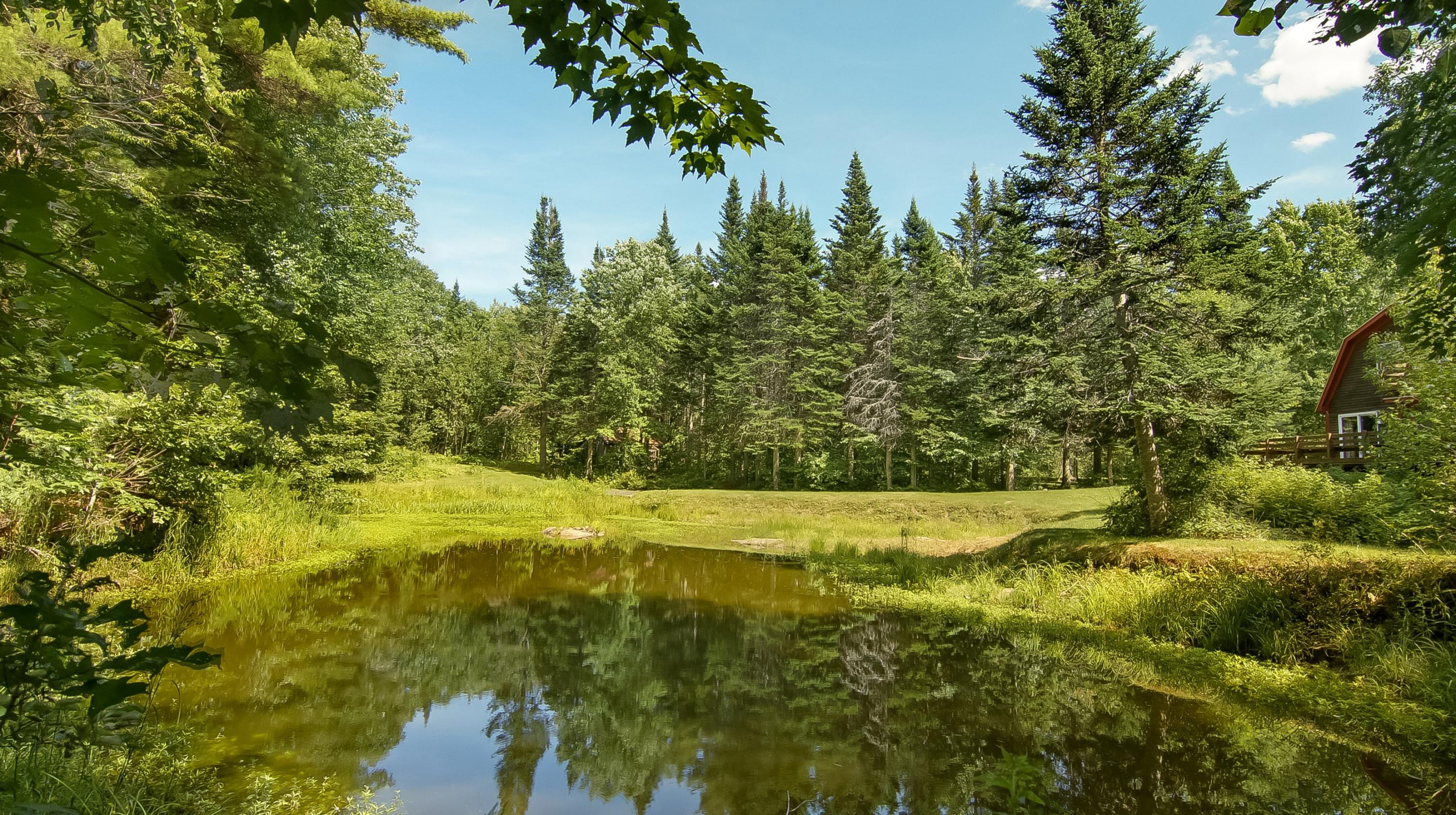 344 Owls Nest Road Shapleigh, ME 04076 - Photo 3 of 30 Densmore 3