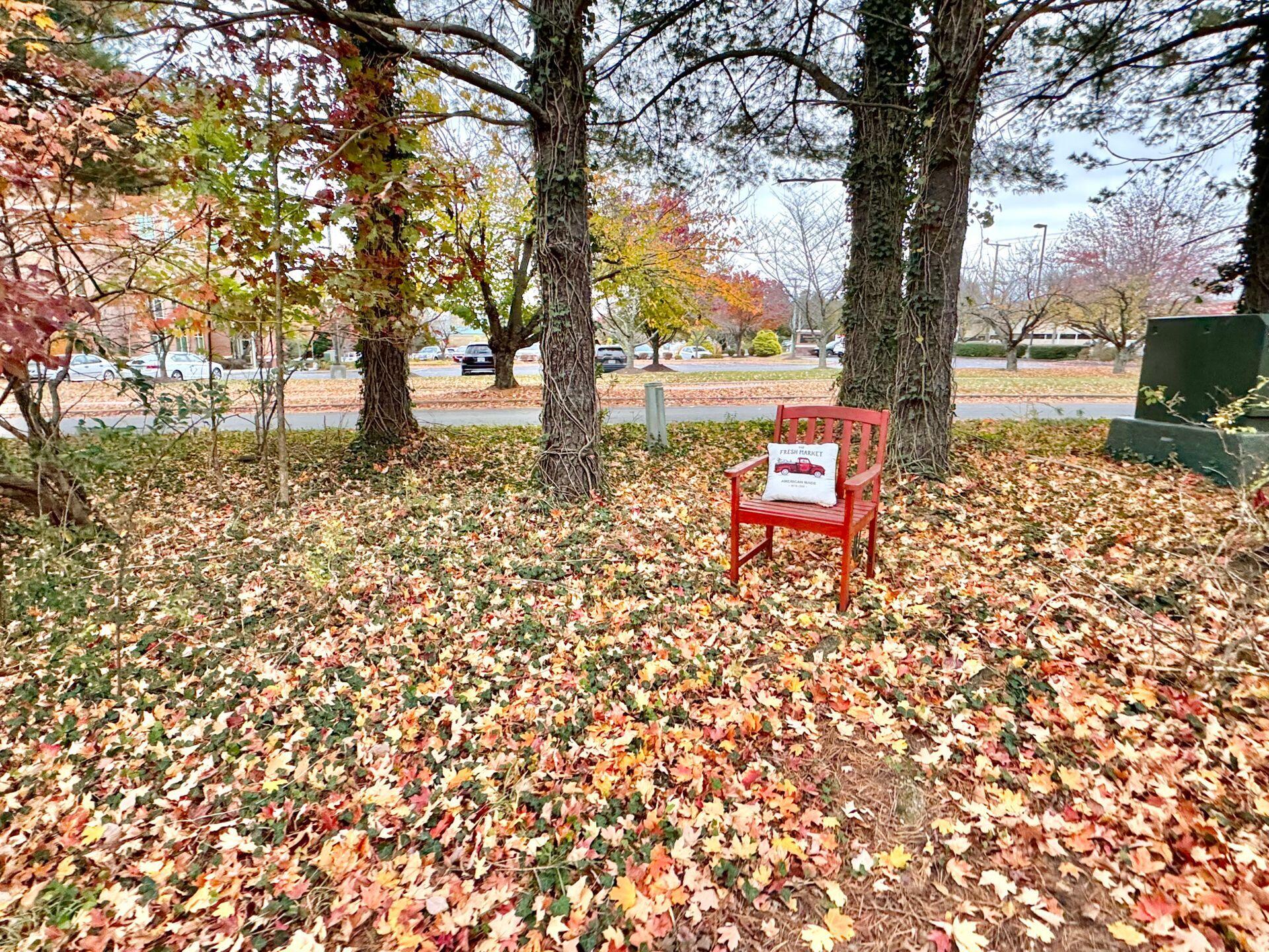 2557 South Clearing Road Salem, VA 24153 - Photo 46 of 79 56