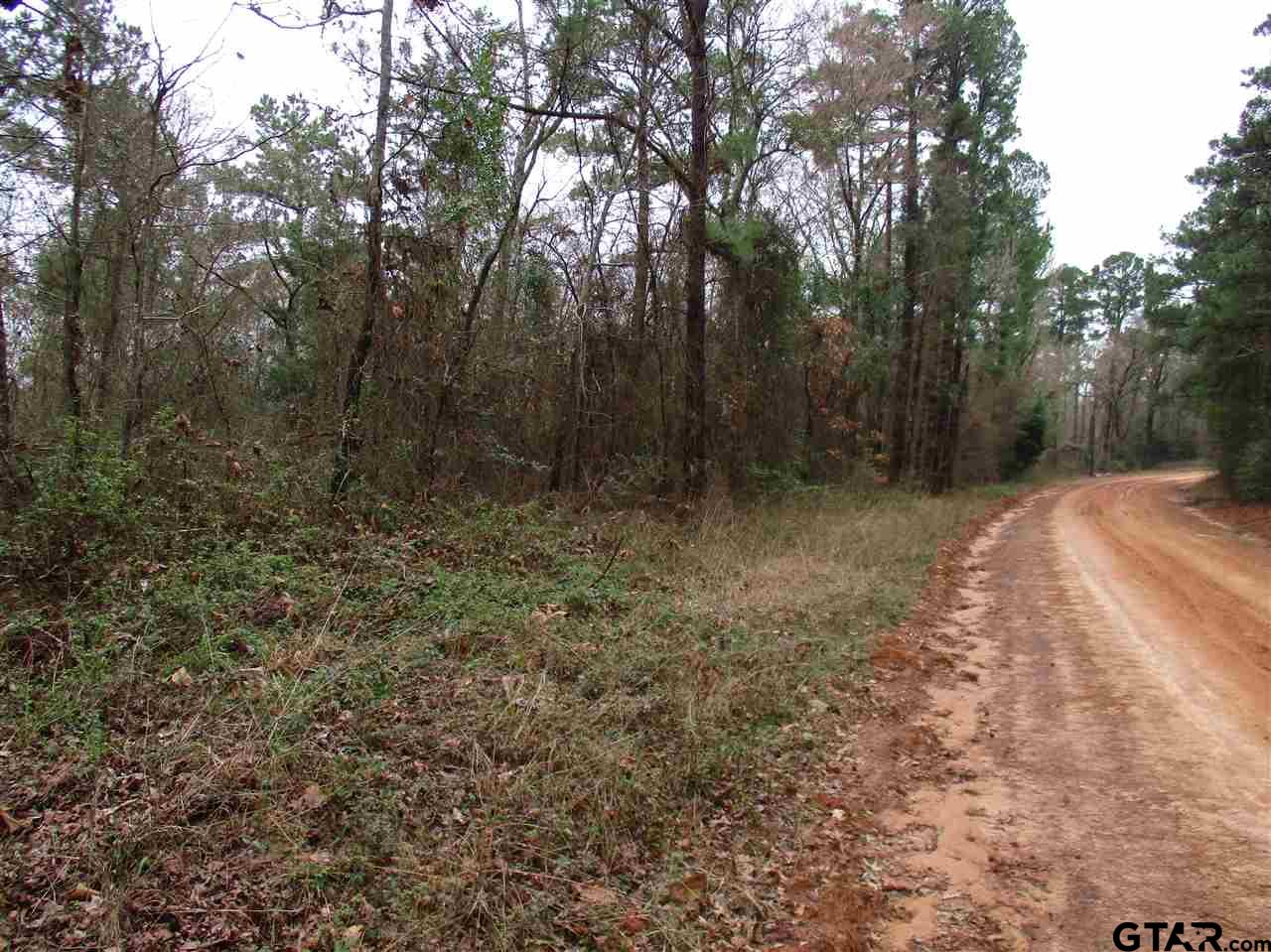 2109 Rusk Tx 75785 Rusk, TX 75785 - Photo 1 of 7 a view of backyard with green space