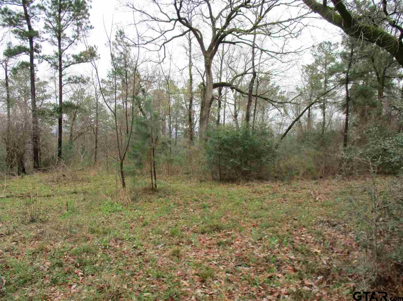 2109 Rusk Tx 75785 Rusk, TX 75785 - Photo 2 of 7 a view of a forest with trees in the background