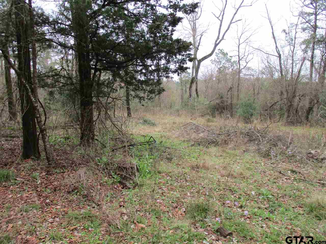 2109 Rusk Tx 75785 Rusk, TX 75785 - Photo 3 of 7 a view of outdoor space and trees