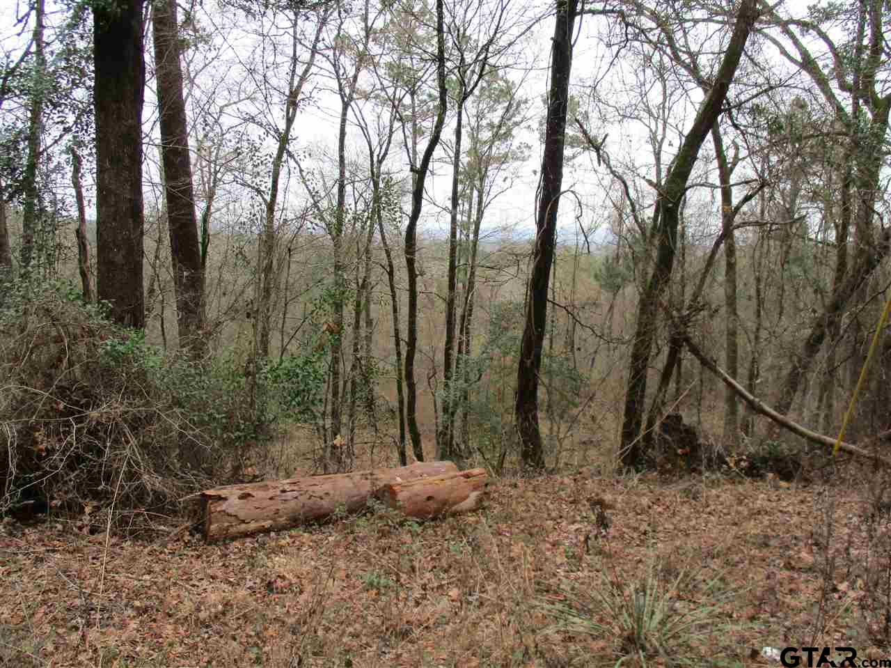 2109 Rusk Tx 75785 Rusk, TX 75785 - Photo 4 of 7 a backyard of a house with lots of green space