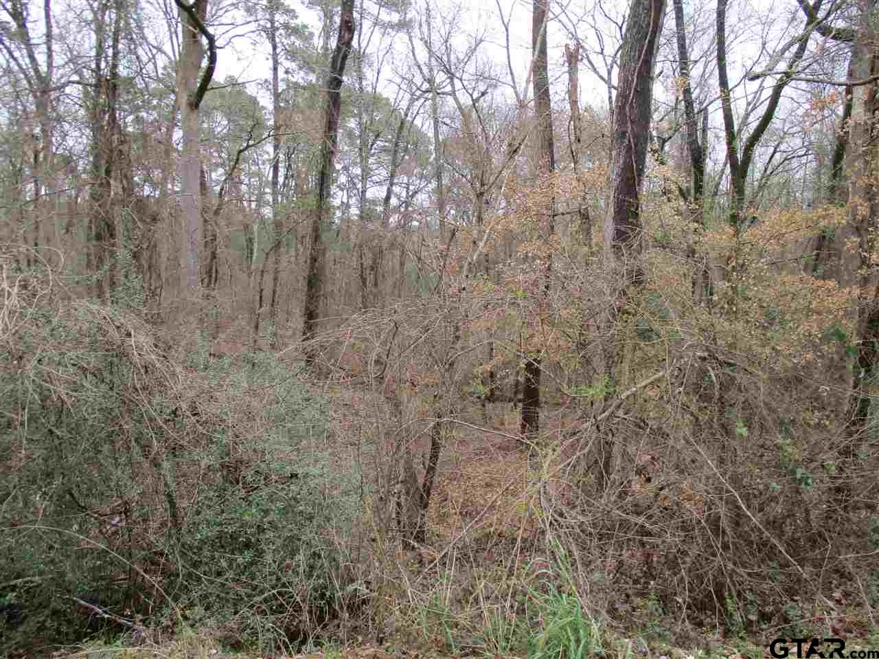 2109 Rusk Tx 75785 Rusk, TX 75785 - Photo 5 of 7 a view of a forest with lots of trees