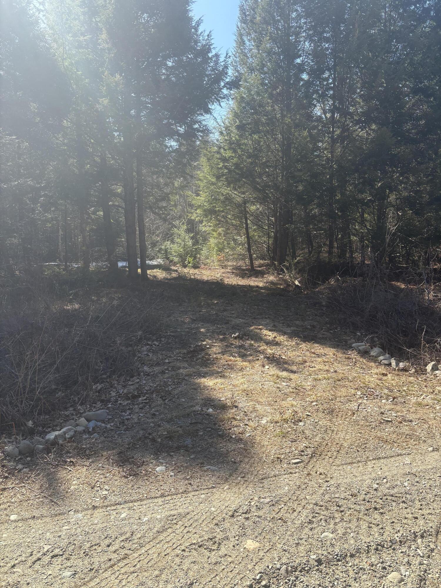 Lot 4 West Indian Road Lincoln, ME 04457 - Photo 13 of 29