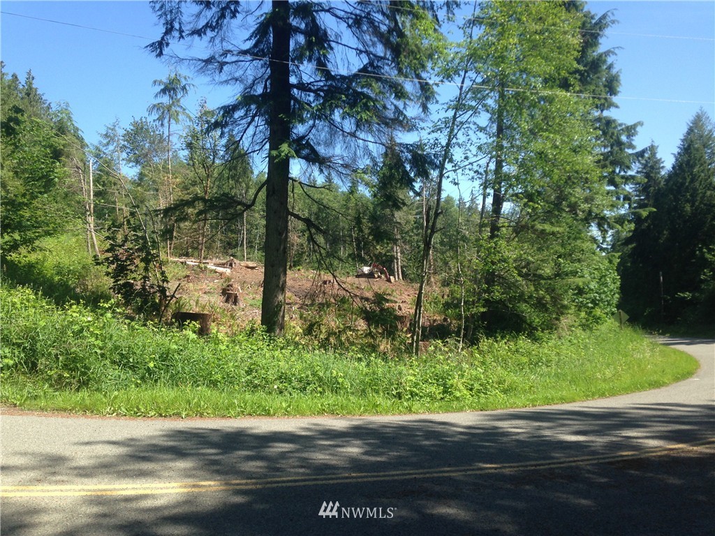 1000 Snow Creek Road Quilcene, WA 98376 - Photo 3 of 12 Gallery Image 3