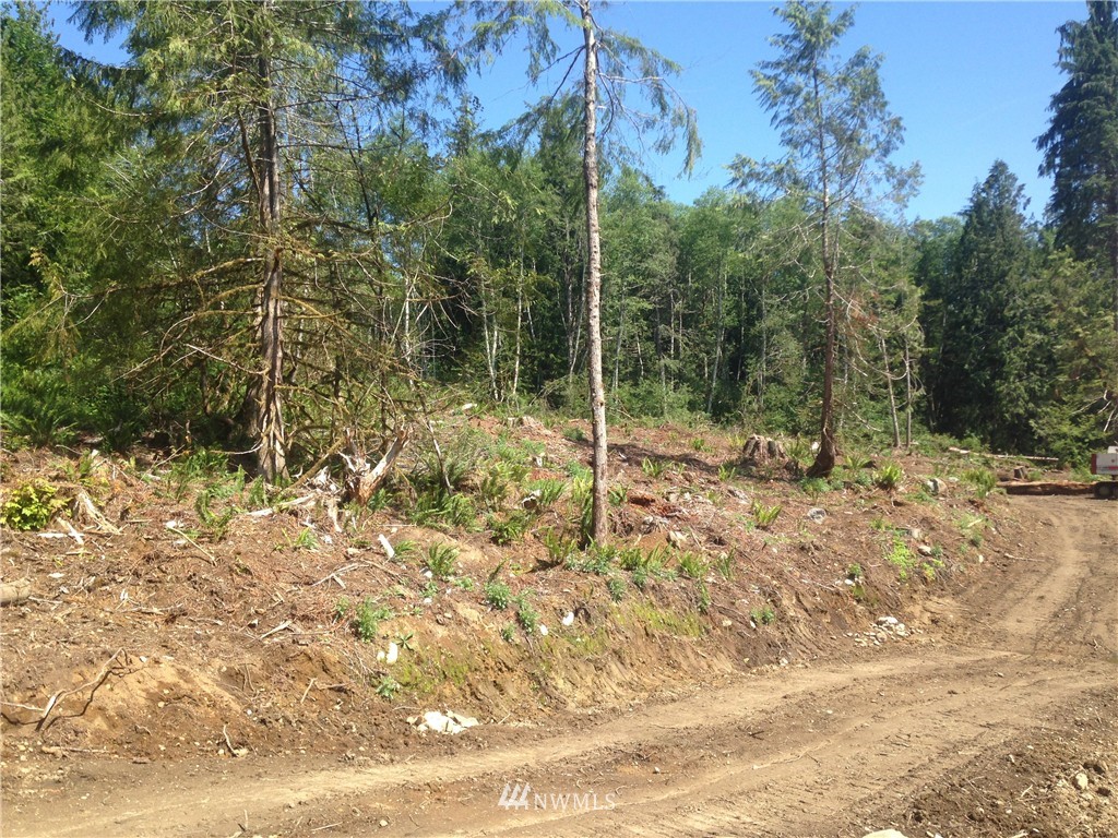 1000 Snow Creek Road Quilcene, WA 98376 - Photo 8 of 12 Gallery Image 8