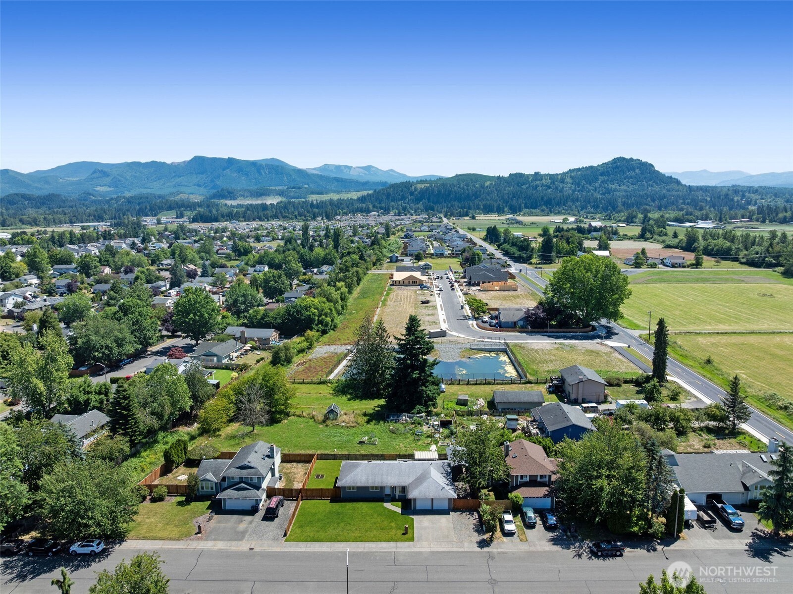 201 Schmid Street Enumclaw, WA 98022 - Photo 39 of 40 an aerial view of green landscape with trees houses and mountain view