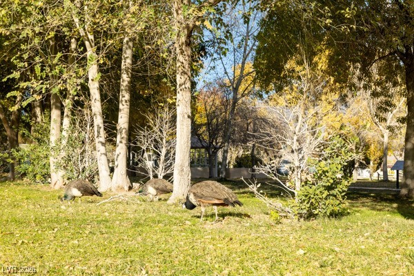 8917 Loggers Mill Avenue Las Vegas, NV 89143 - Photo 48 of 52