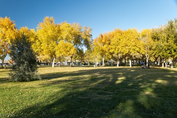 8917 Loggers Mill Avenue Las Vegas, NV 89143 - Photo 51 of 52