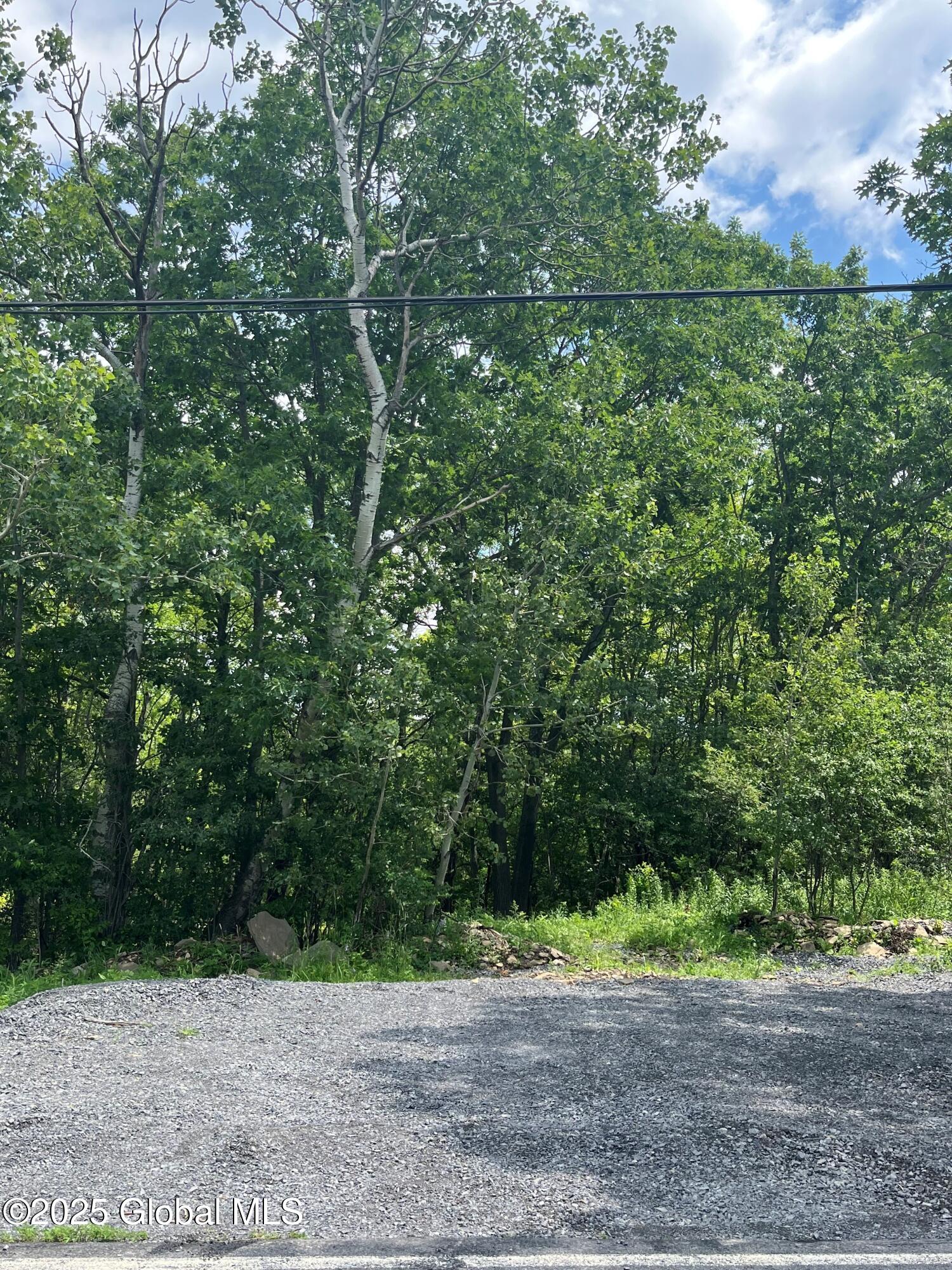 L41 North Mansion Road Duanesburg, NY 12056 - Photo 1 of 2 VL