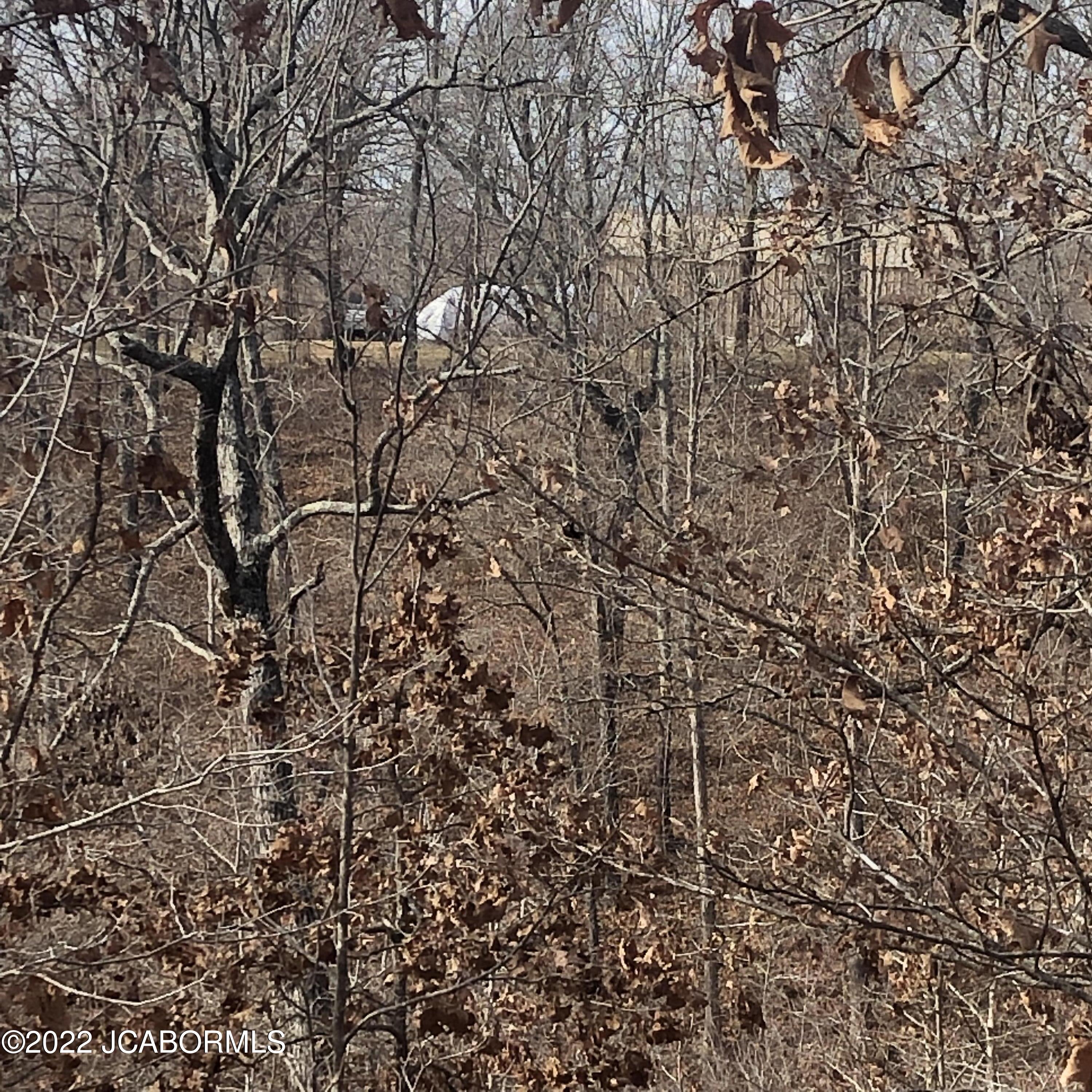 Tbd Broads Branch Road Macks Creek, MO 65786 - Photo 15 of 18