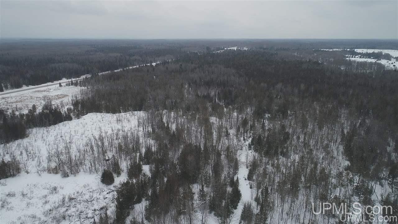 75-acres West Cold Springs Road Chatham, MI 49816 - Photo 35 of 42