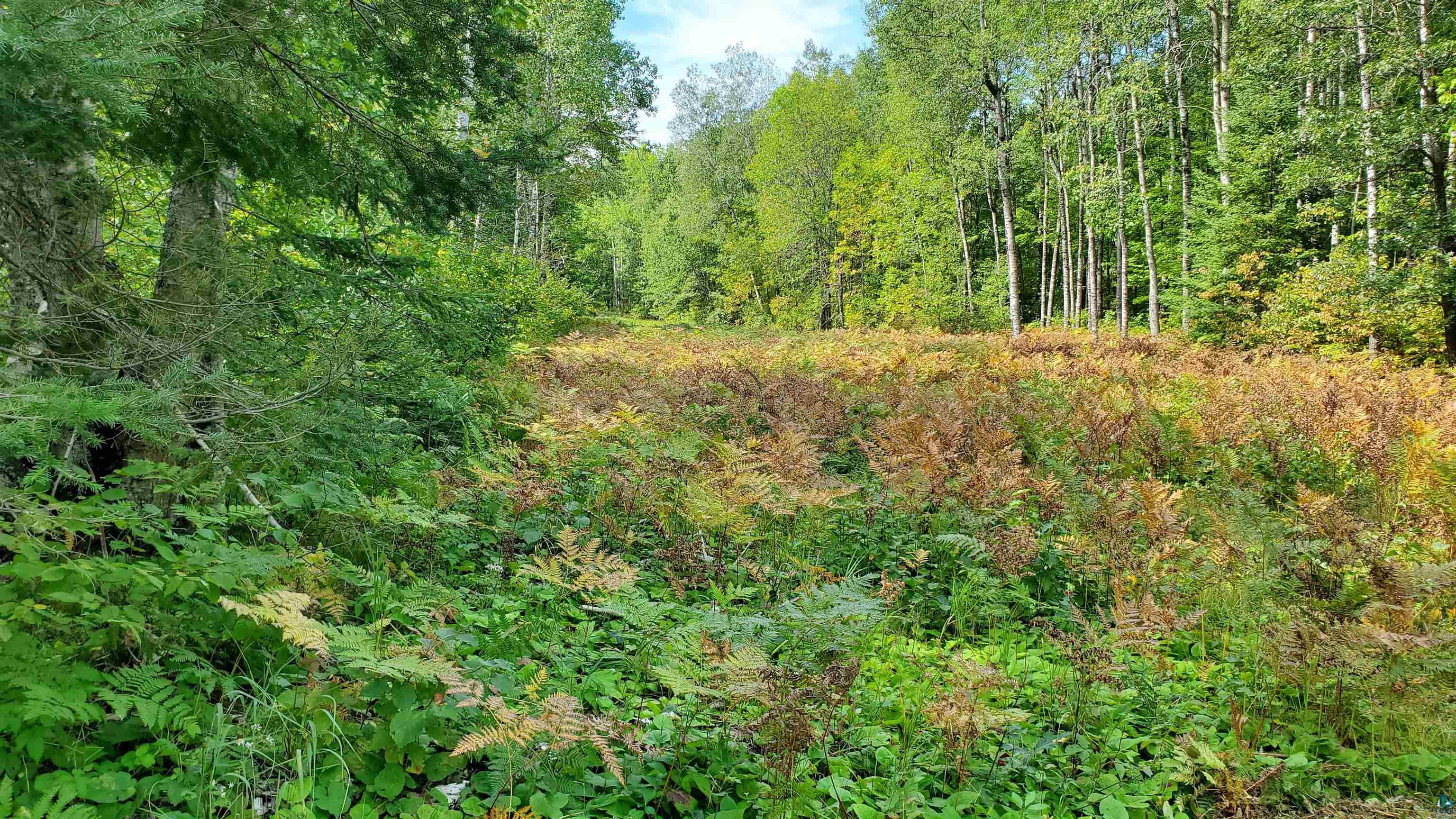 4270 Stephans Road Iron River, WI 54847 - Photo 9 of 10 Gallery Image 9