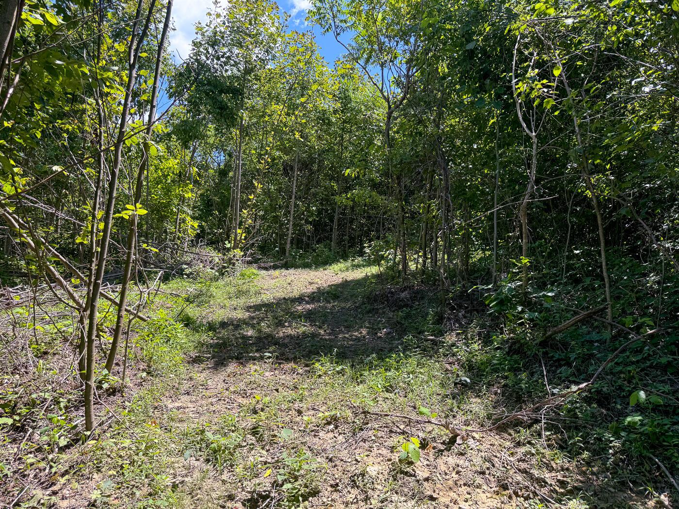 4313 Flint Ridge Road Northeast, Unit INT RIDGE TRACT 18 ACRE) Crooksville, OH 43731 - Photo 27 of 53 CT-27