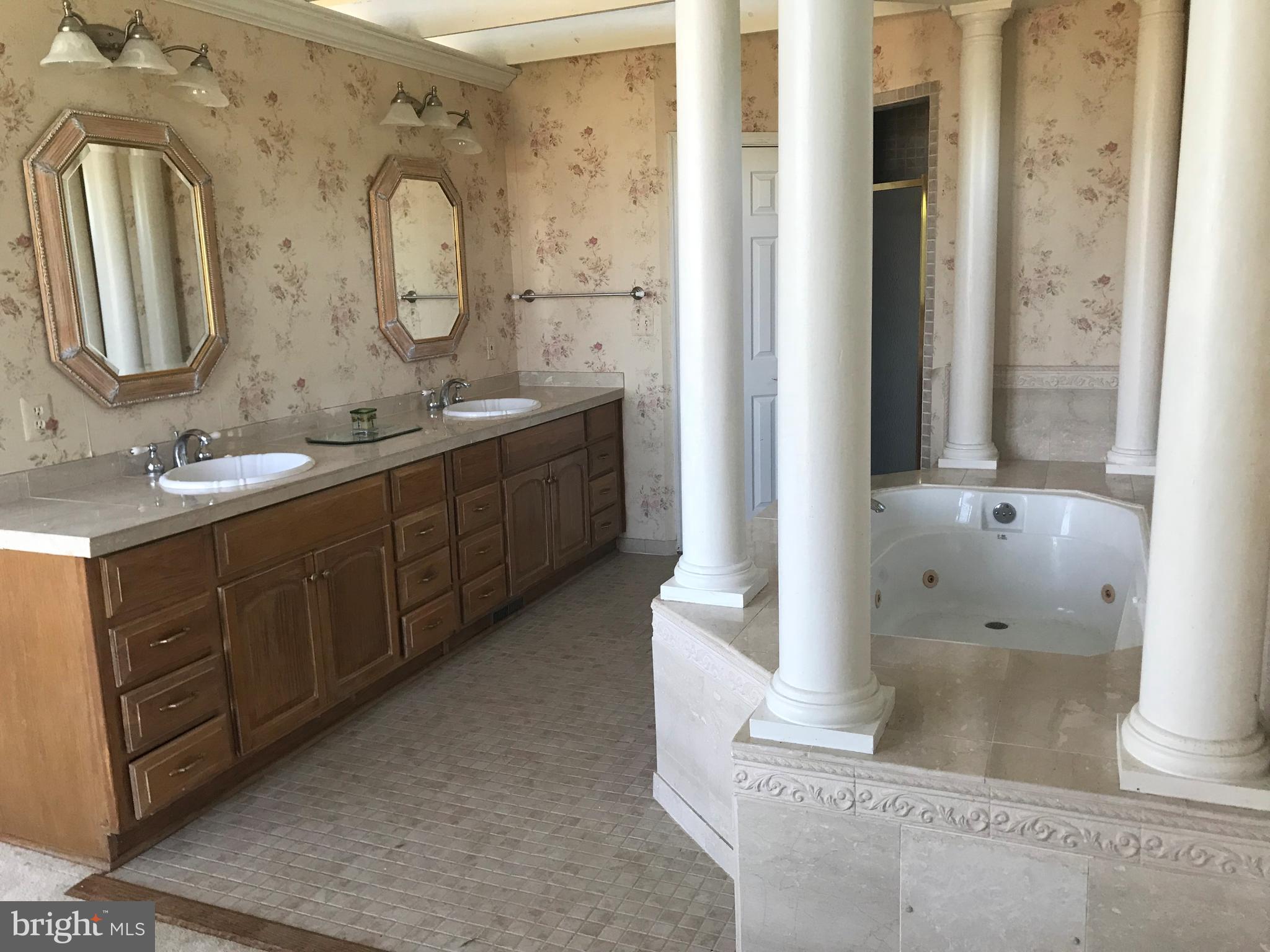 39782 The Narrows Road Waterford, VA 20197 - Photo 22 of 29 Bath (Master)