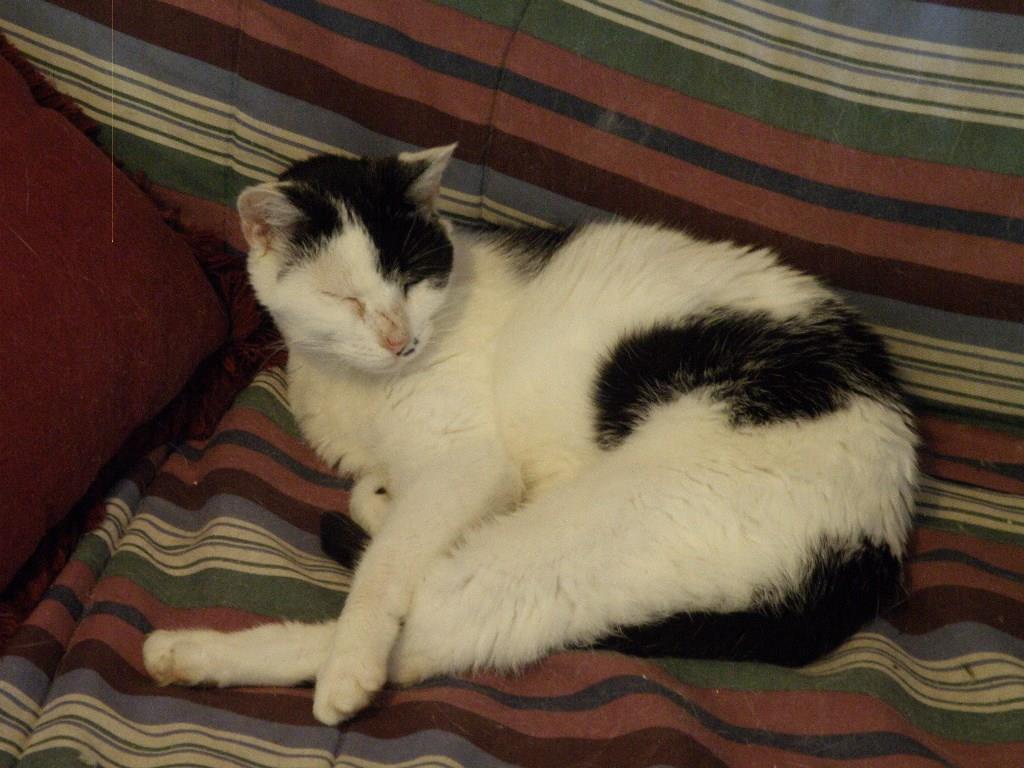 197 Tannery Loop Ellsworth, ME 04605 - Photo 34 of 34 And speaking of creature comforts ......