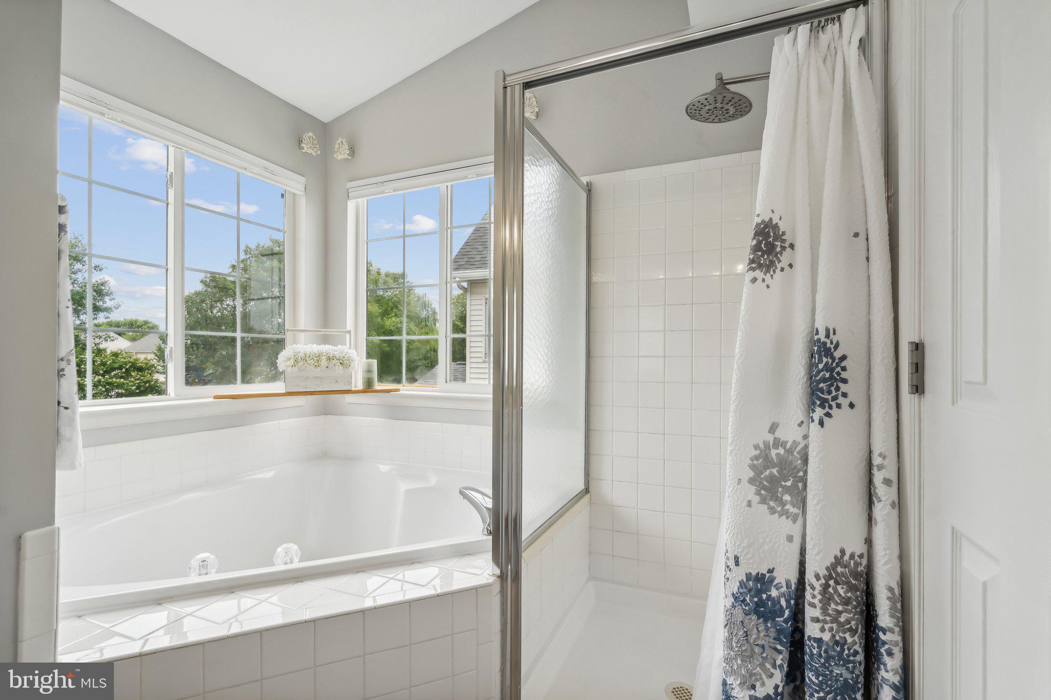 20575 Coppersmith Drive Ashburn, VA 20147 - Photo 28 of 51 Primary bath soaking tub and shower