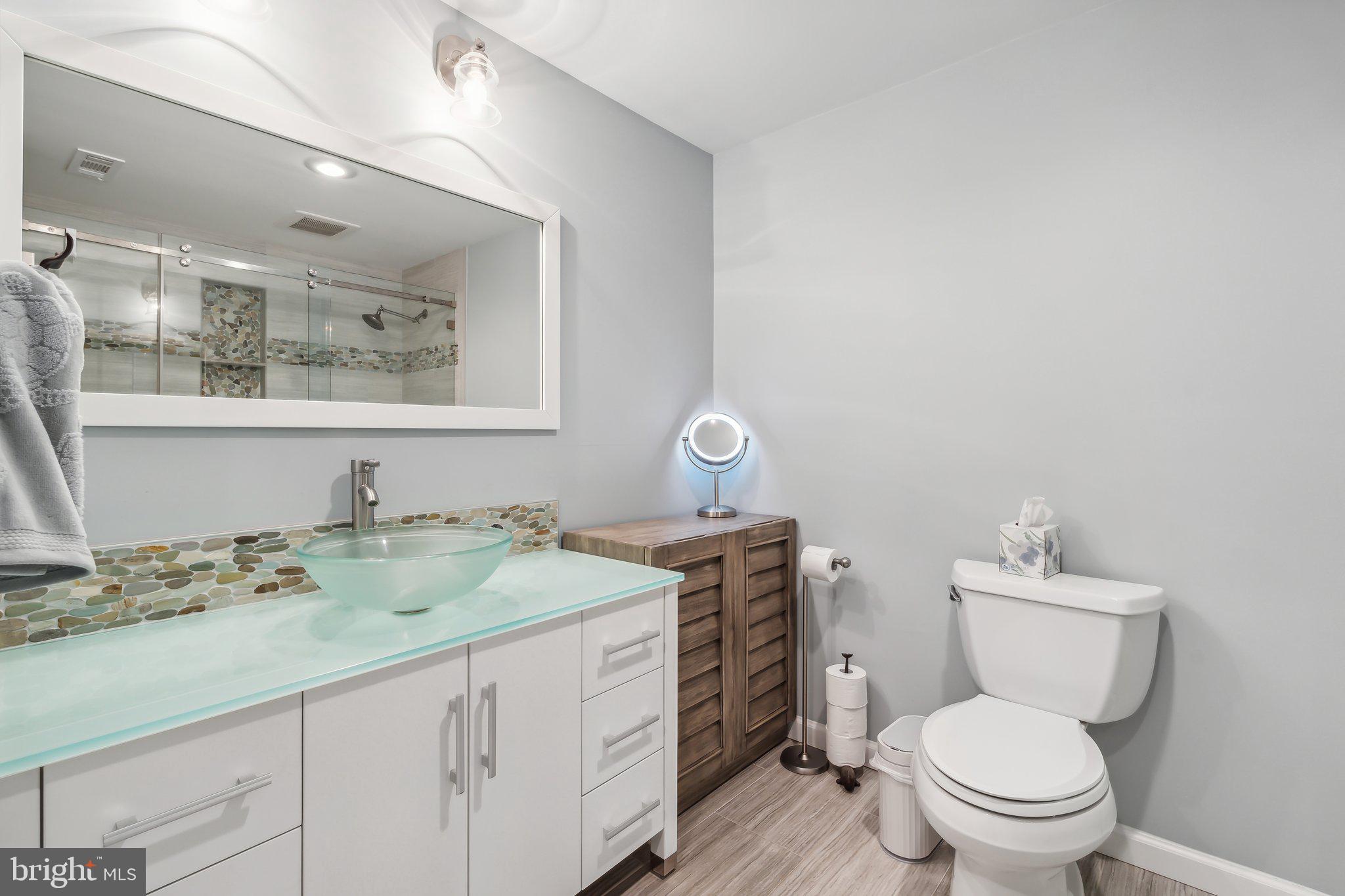 20575 Coppersmith Drive Ashburn, VA 20147 - Photo 37 of 51 Lower Level updated full bath