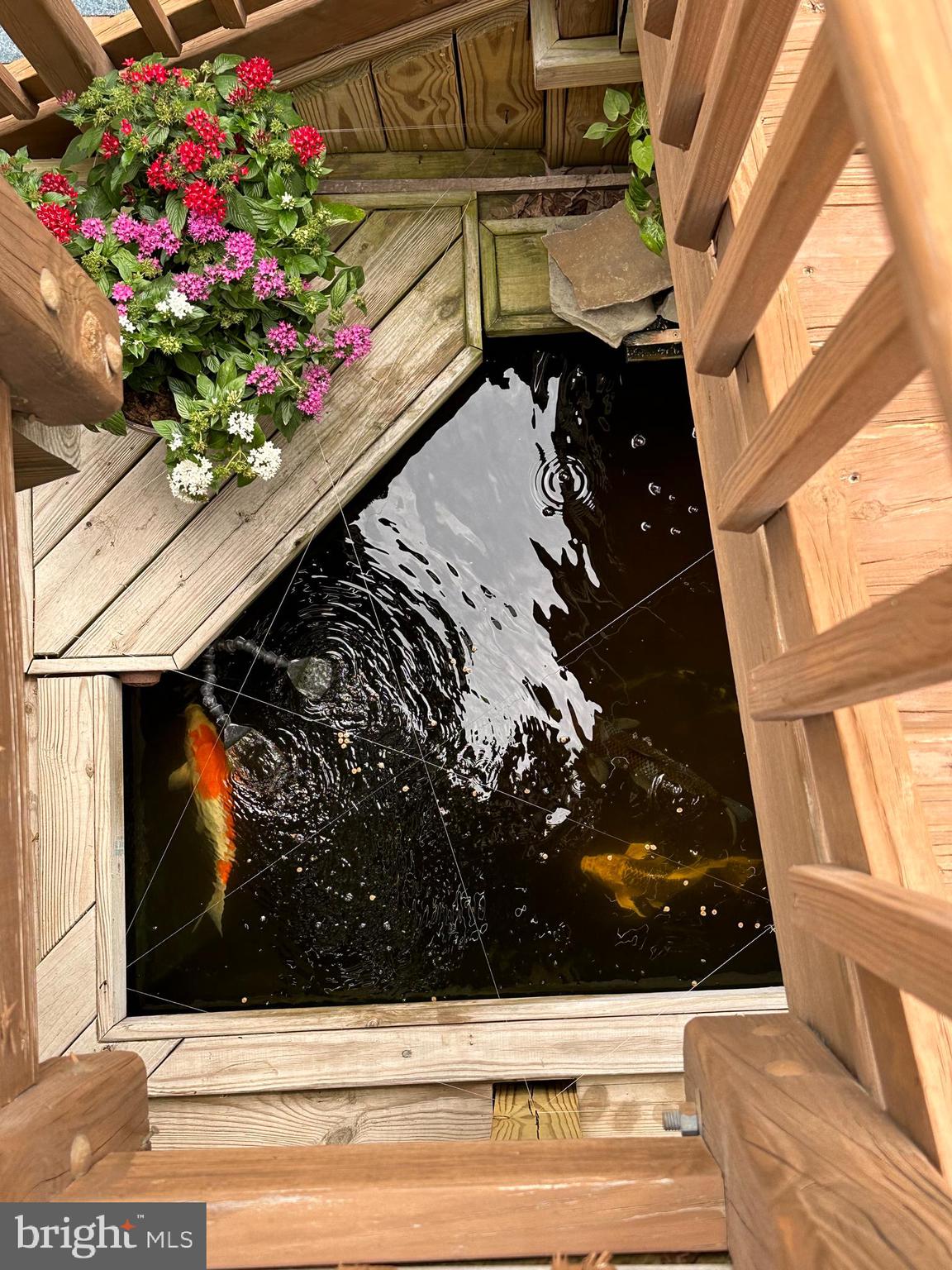 20575 Coppersmith Drive Ashburn, VA 20147 - Photo 42 of 51 Koi pond