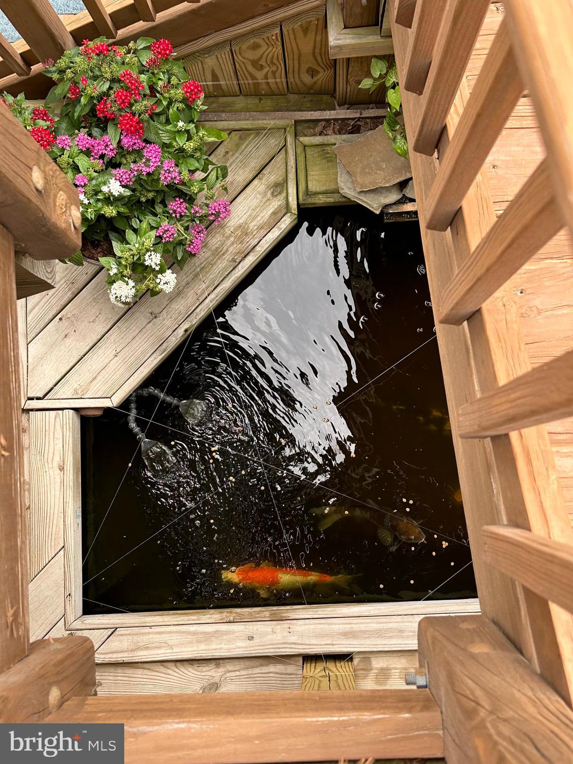 20575 Coppersmith Drive Ashburn, VA 20147 - Photo 43 of 51 Koi pond