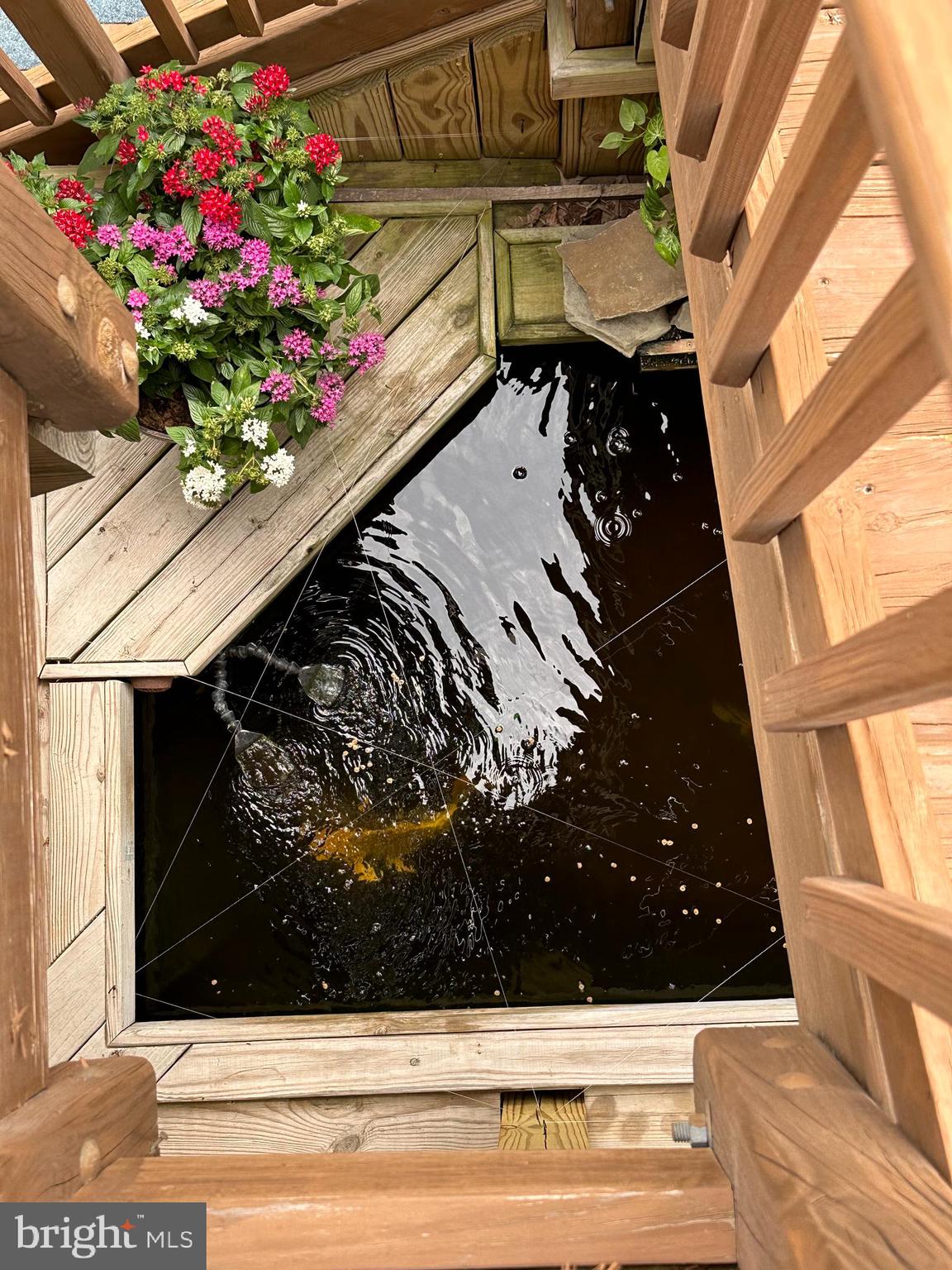 20575 Coppersmith Drive Ashburn, VA 20147 - Photo 44 of 51 Koi pond