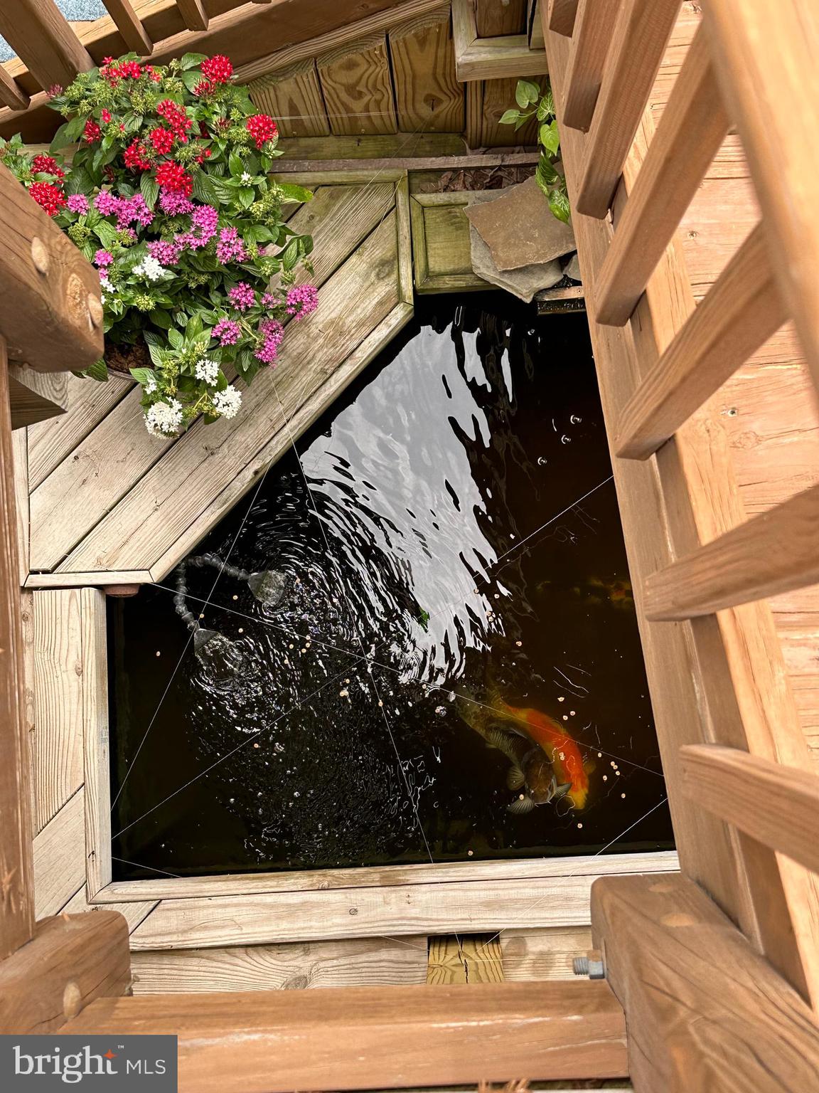 20575 Coppersmith Drive Ashburn, VA 20147 - Photo 45 of 51 Koi pond