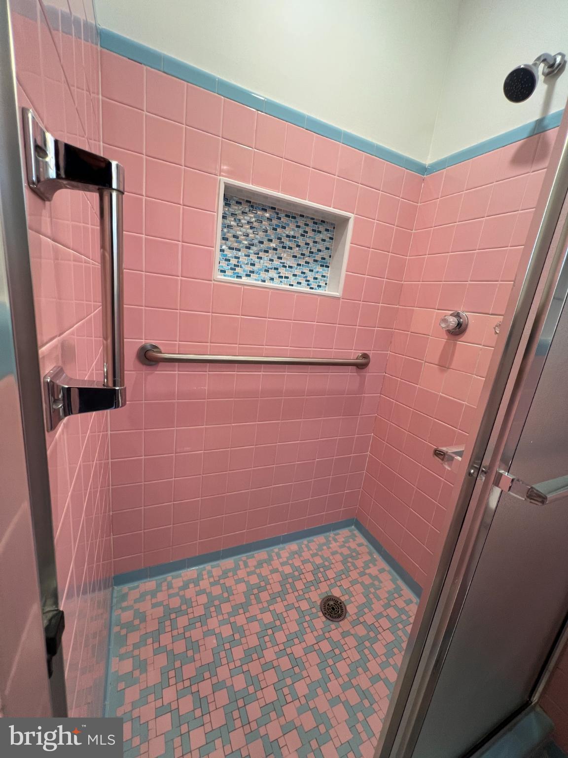 6205 Kirby Road Bethesda, MD 20817 - Photo 16 of 42 Charming retro pink tiled shower oasis.