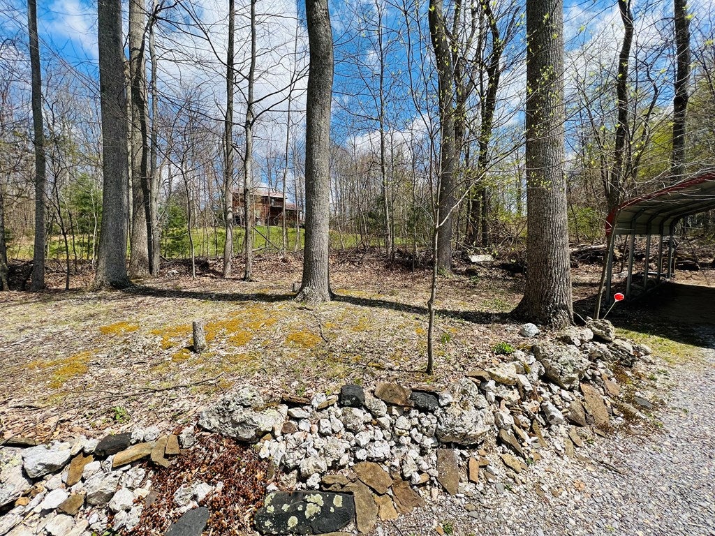 509 Tacoma Road Tazewell, VA 24651 - Photo 39 of 44 Gallery Image 39