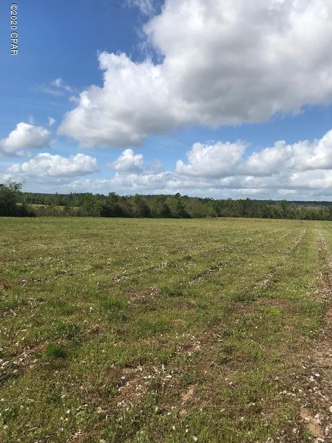 0 Stewart Road Chipley, FL 32428 - Photo 3 of 7