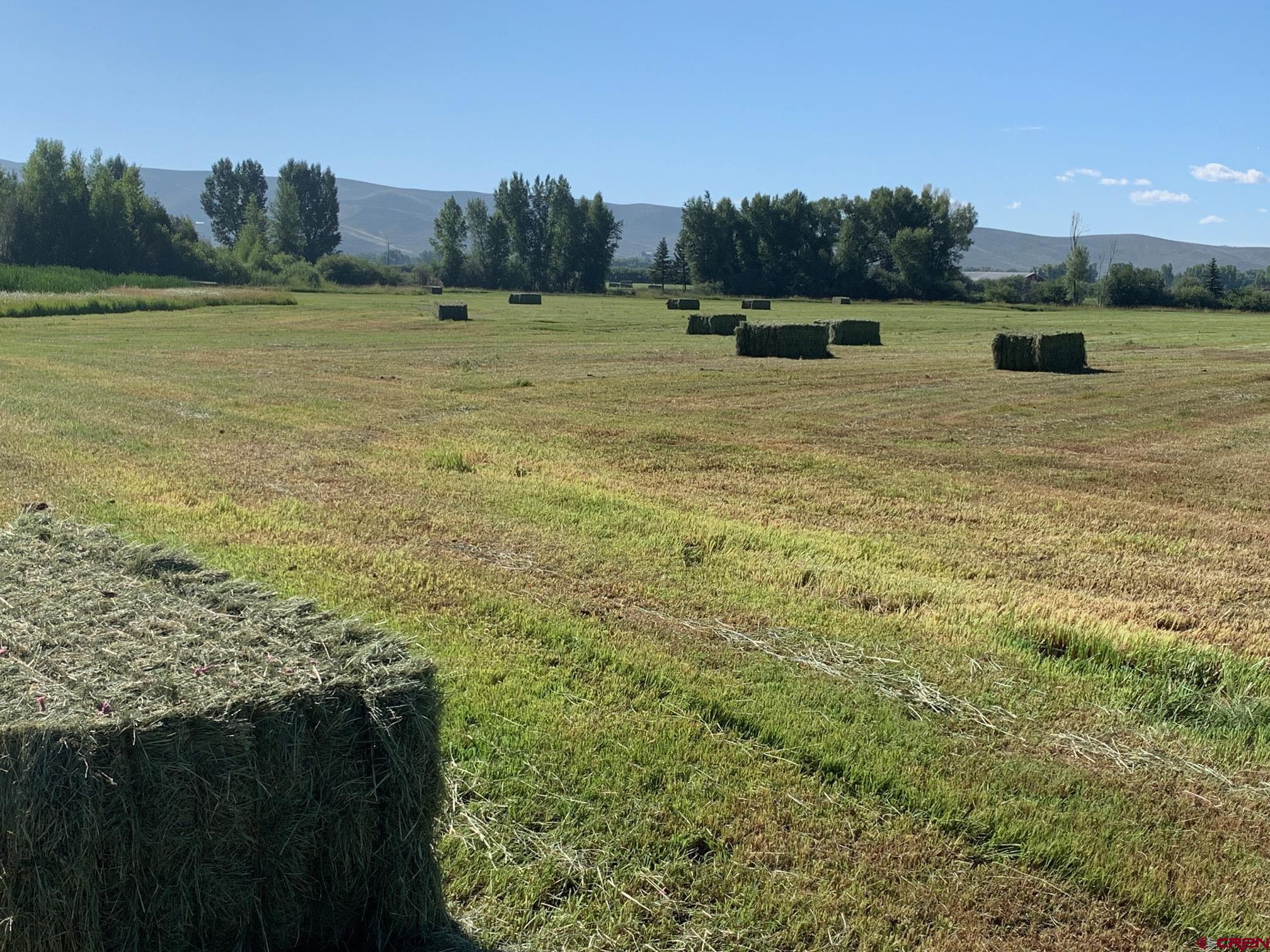 607 County Road 730 Gunnison, CO 81230 - Photo 12 of 35 a view of a lake with houses in the back